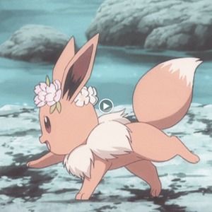 Meet your Posher, Dalena